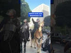 Mounted police officers disperse crowds in Los Angeles