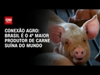 Brasil é o quarto maior produtor de carne suína do mundo | LIVE CNN