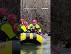 HUSKY HEROES: Firefighters in California rescued two dogs trapped on an island in the Feather River