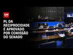 PL da reciprocidade avança no Senado | CNN PRIME TIME