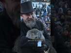 Punxsutawney Phil, the world’s most famous groundhog, is now a father