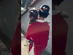 Tamanho não é documento! American Bully entra em pane após encontro com pinscher