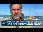 WAL-WAHNSINN: Drama um Timmy nimmt kein Ende! Wellen verschieben den toten Buckelwal