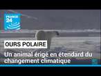 L'ours polaire, un animal érigé en étendard du changement climatique • FRANCE 24