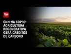 Empresas investem em agricultura regenerativa para geração de créditos de carbono | CNN NOVO DIA