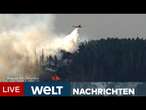 BROCKEN BRENNT: Horror im Harz! 500 Touristen wegen Waldbrand in Sicherheit gebracht! | LIVESTREAM