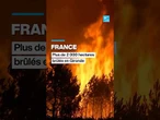 France : plus de 2 000 hectares brûlés en Gironde • FRANCE 24