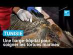 Tunisie : une barge-hôpital pour soigner les tortues marines protégées • FRANCE 24