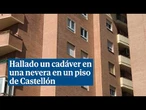 La Policía detiene a un hombre después de encontrar un cuerpo sin vida en una nevera en Castellón
