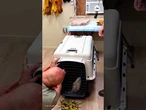 Internet-famous Jackie the eagle recovering after fight