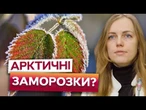 СНІГ ВЖЕ ЦЬОГО ТИЖНЯ? Холодний АТМОСФЕРНИЙ ФРОНТ НАКРИЄ Захід та Північ України