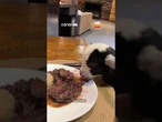Cabritinho decide participar do almoço e surpreende tutora "