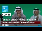 COP 28 : "on fait un pas dans la bonne direction, mais ce n’est pas assez" • FRANCE 24