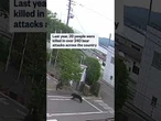 Bear injures four in Japanese residential area
