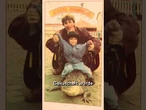 ALLIGATOR ALS HAUSTIER IN MV: „Frau Meyer“ lebt mit Familie und Pool in Deutschland! #shorts