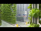 Cultiver l'avenir pour améliorer l'approvisionnement alimentaire et créer des solutions