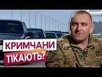 КЕРЧЕНСЬКИЙ МІСТ ЗАБЛОКОВАНО? СОТНІ АВТІВОК на виїзді з КРИМУ! Ось ЩО ВІДОМО!