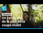 France : un concours de la plus belle coupe mulet d’Europe • FRANCE 24