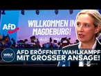 AFD ANSAGE: Weidel zündet Wahlkampf-Rakete! AfD startet Großoffensive und träumt vom Regierungssieg!