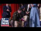 Veteran has surprise reunion with a special dog from overseas