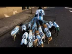 Des chiens en maillot de l'Argentine: la fièvre du Mondial gagne Buenos Aires