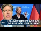 DEUTSCHLAND: „Völliger Quark!“ Grünen Politiker Kellner greift AfD an