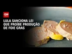 Lula sanciona lei que proíbe a produção e comercialização de foie gras | CNN PRIME TIME