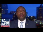 Sen. Tim Scott: Kamala is looking for ‘power and votes’