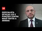 Juiz detalha leis e punições contra maus-tratos a animais | AGORA CNN