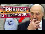 УСЕ ЄС СМІЄТЬСЯ! ЦУЦИК ЛУКАШЕНКО не стримався ️СКАНДАЛ на виборах В БІЛОРУСІ