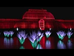 Luzes de Natal brilham do Jardins de Kew em Londres | AFP