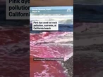 Pink dye tracks pollution at California beach