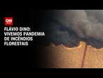 Flávio Dino: Vivemos pandemia de incêndios florestais | CNN ARENA