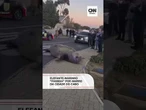 Elefante-marinho passeia por bairro residencial na Cidade do Cabo