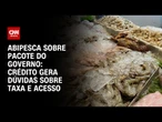 Plano de contingência: Crédito gera dúvidas sobre taxa e acesso, diz Abipesca | LIVE CNN