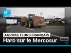 Colère des agriculteurs français : haro sur le Mercosur • FRANCE 24