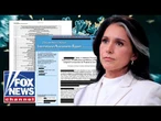 DETAILS: Gabbard releases HUNDREDS of COVID lab leak documents