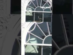 Trump SPOTTED in White House window #shorts #trump #foxnews #politics #news #us