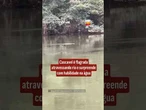 Cascavel é flagrada atravessando rio e surpreende com habilidade na água