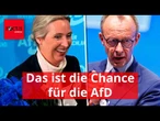 Jetzt kann die AfD Merz am Nasenring durch den Bundestag führen