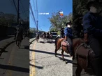 Cavalgada religiosa reuniu dezenas de cavaleiros, charretes e fiéis na manhã deste domingo (26)