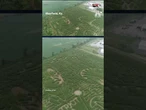A-Maize-ing Farms honors ‘Jaws’ with corn maze design