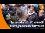AfD nähert sich absoluter Mehrheit in Sachsen-Anhalt
