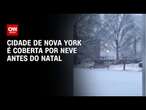 Cidade de Nova York é coberta por neve antes do Natal | CNN BRASIL