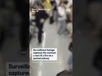 Surveillance video shows suspect lighting fire on packed Seoul subway