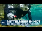 GRIECHENLAND: Kampf unter Wasser - Wie Forscher das Mittelmeer retten wollen