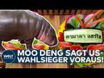 MOO-DENG-ORAKEL: Donald Trump wird laut thailändischen Zwergflusspferd die US-Wahl gewinnen