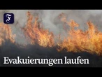 Waldbrände in Südspanien: Behörden melden Tote und Vermisste