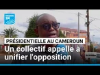Présidentielle au Cameroun : un collectif d'intellectuels appelle à unifier l'opposition