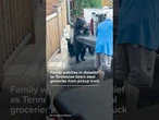 Family watches in disbelief as bears steal groceries from pickup truck